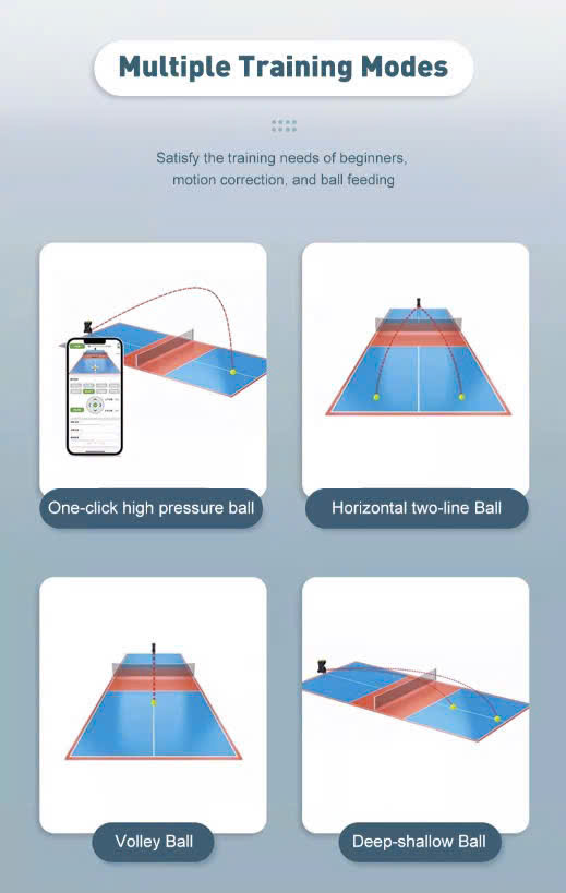 Pickleball Product 6